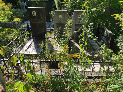 Могила до уборки на Берковецком кладбище в Киеве