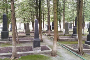 Місцеві пам'ятники